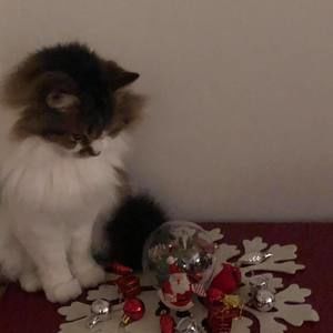 Meet your Posher, Cathy